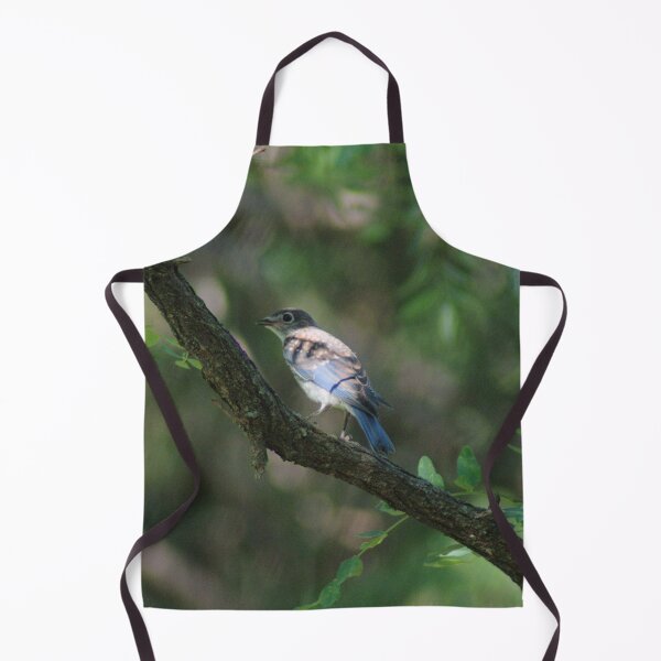 Item preview, Juvenile Male Eastern Bluebird in Shade designed and sold by gistinker.