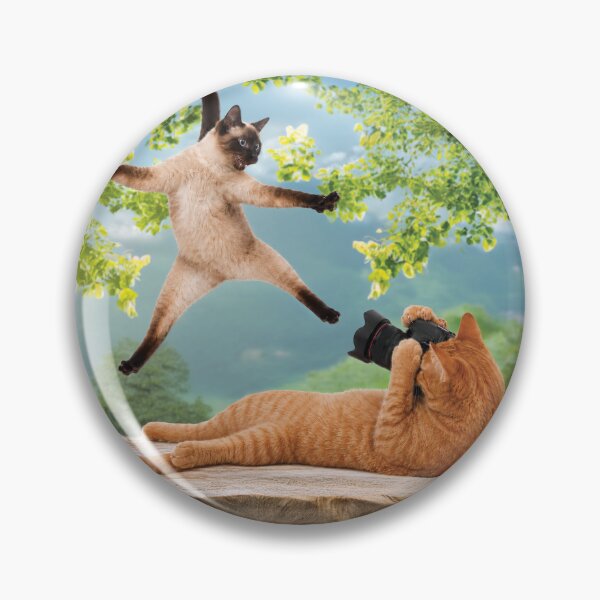 Item preview, Cat Studio Photographer designed and sold by Carocas20.