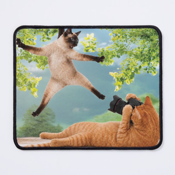 Item preview, Cat Studio Photographer designed and sold by Carocas20.
