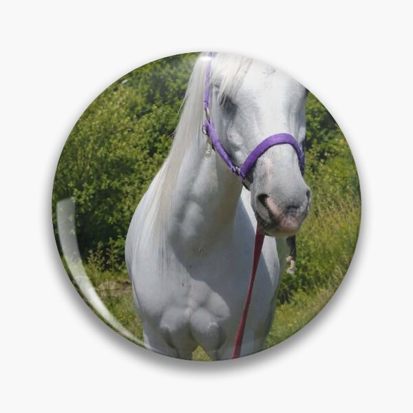Item preview, A Beautiful white pony designed and sold by skylines79.