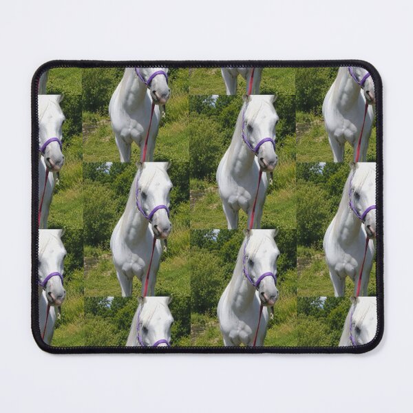 Item preview, A Beautiful white pony designed and sold by skylines79.
