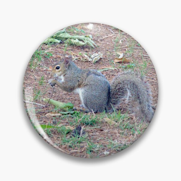 Item preview, Thoughtful Squirrel designed and sold by gistinker.