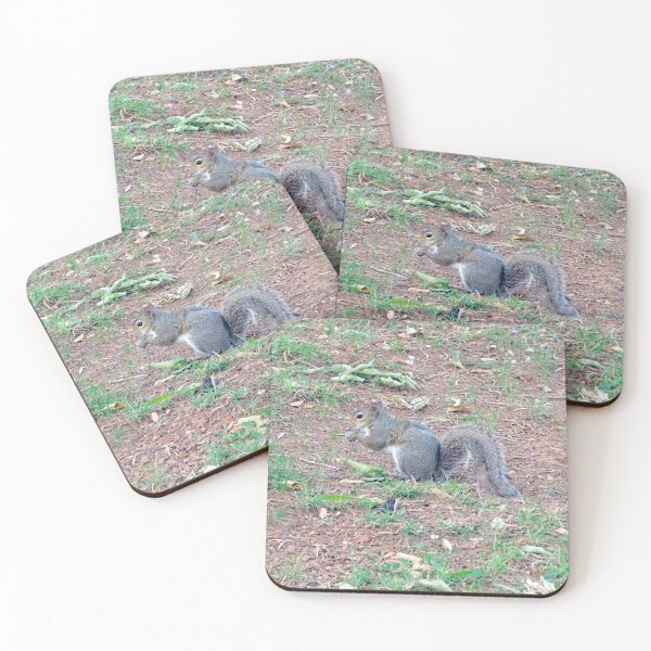 Item preview, Thoughtful Squirrel designed and sold by gistinker.