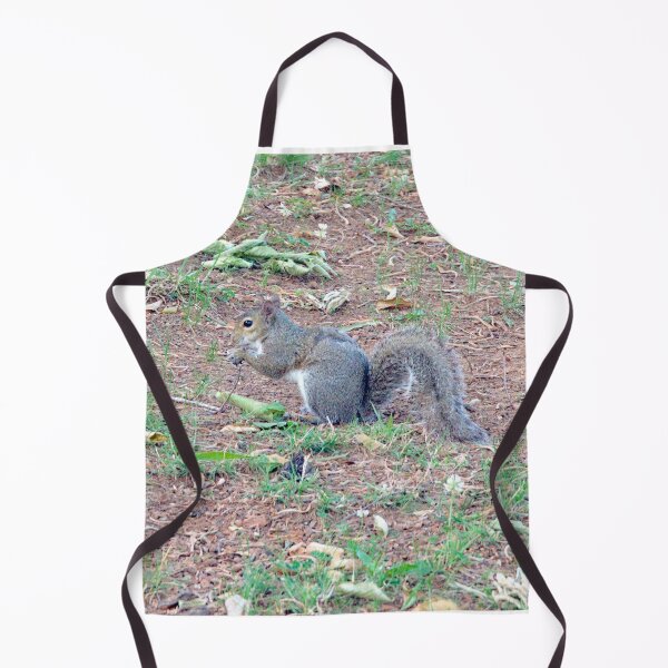 Item preview, Thoughtful Squirrel designed and sold by gistinker.