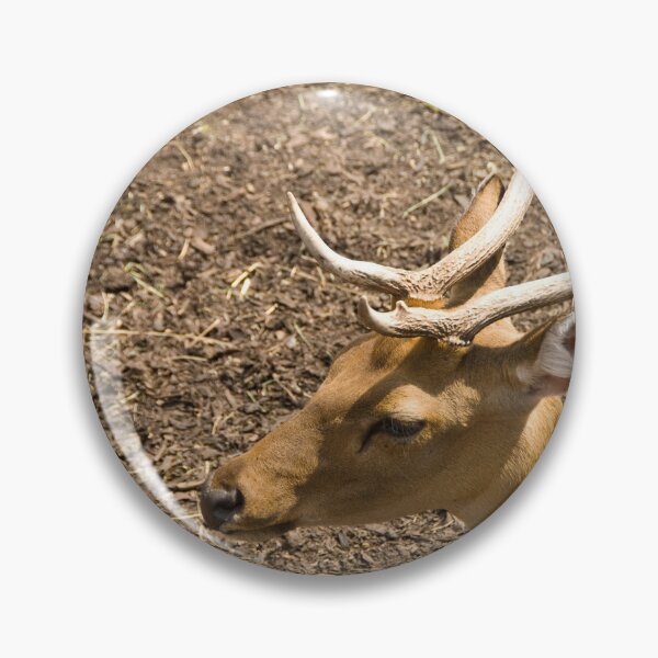 Item preview, Majestic Whitetail Deer designed and sold by CCWorkfloor.