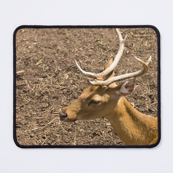 Item preview, Majestic Whitetail Deer designed and sold by CCWorkfloor.