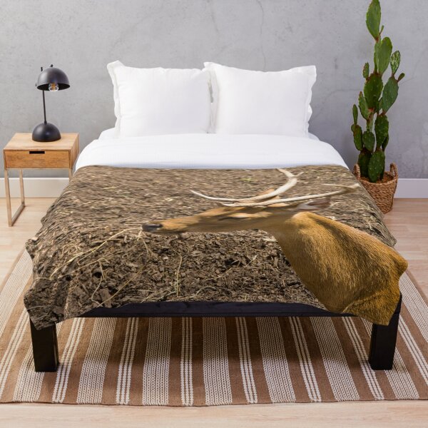 Item preview, Majestic Whitetail Deer designed and sold by CCWorkfloor.