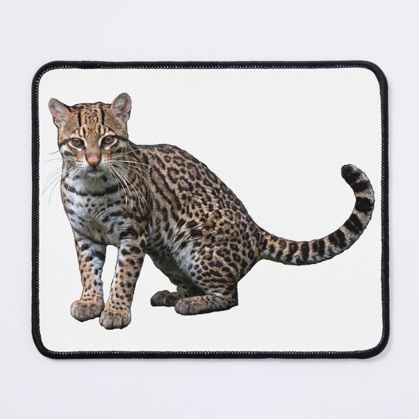 Item preview, Ocelot designed and sold by obscurite.