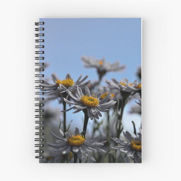 Item preview, Color isolated Asters  designed and sold by Cblifeisgood.