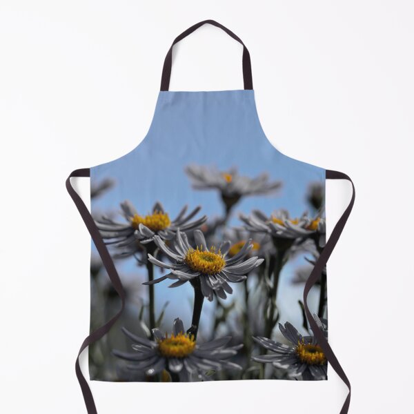 Item preview, Color isolated Asters designed and sold by Cblifeisgood.