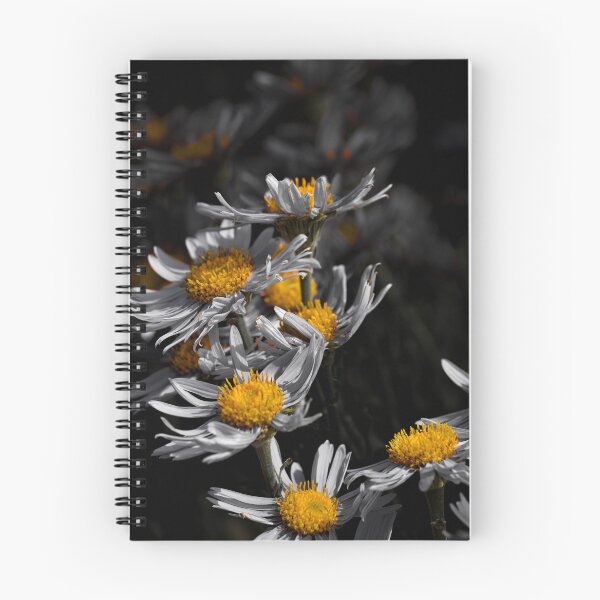 Item preview, Group of Asters color isolation edit  designed and sold by Cblifeisgood.