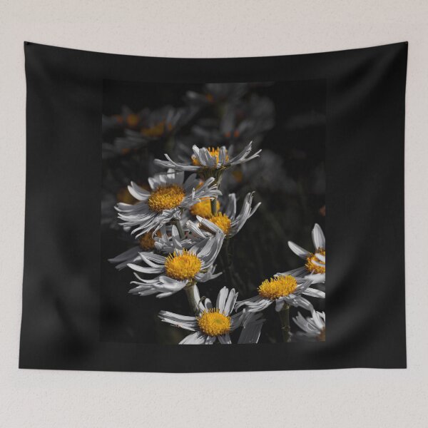 Item preview, Group of Asters color isolation edit  designed and sold by Cblifeisgood.