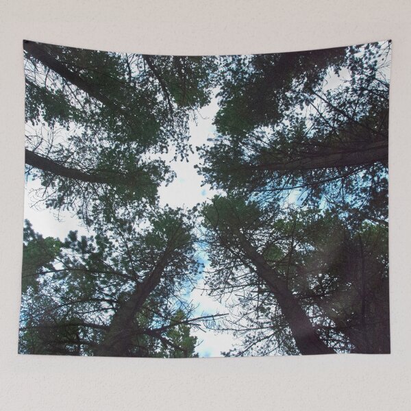 Item preview, Tall Pines Reaching for the Sky designed and sold by CCWorkfloor.
