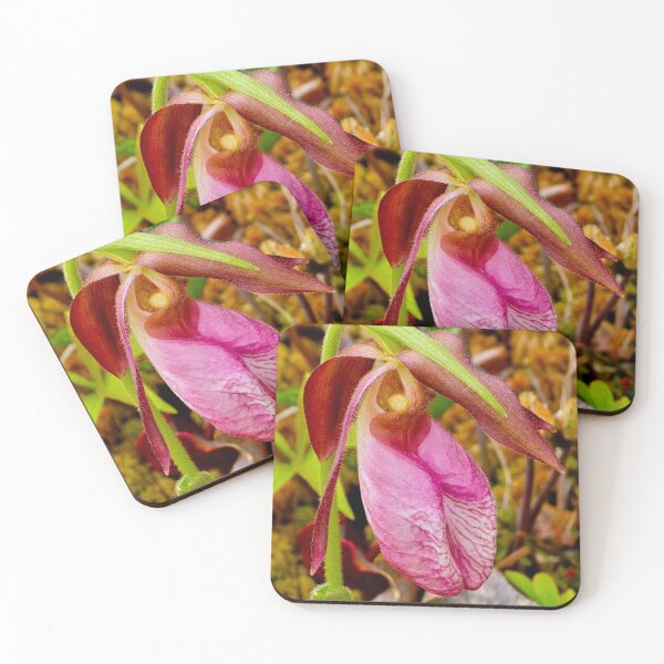 Item preview, Pink Lady's Slipper designed and sold by bjtomiko.