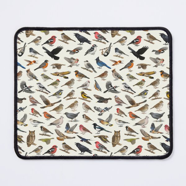 Item preview, Backyard Birds of Alaska Ornithology Identification Chart designed and sold by kakarikihill.