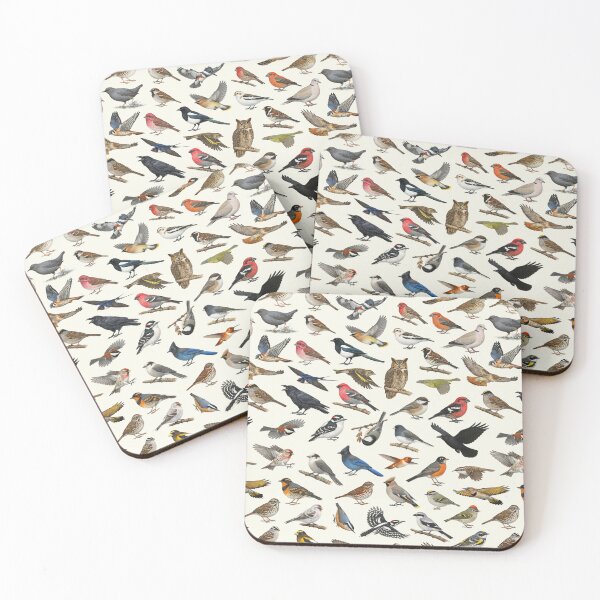 Item preview, Backyard Birds of Alaska Ornithology Identification Chart designed and sold by kakarikihill.