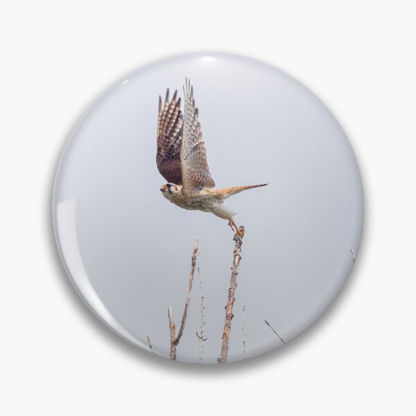 Item preview, Kestrel Leaping Off Tall Tree Branch designed and sold by CarolM.