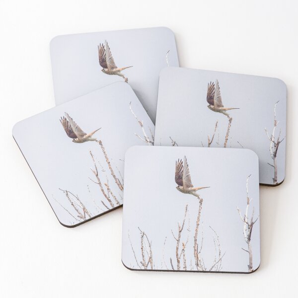 Item preview, Kestrel Leaping Off Tall Tree Branch designed and sold by CarolM.