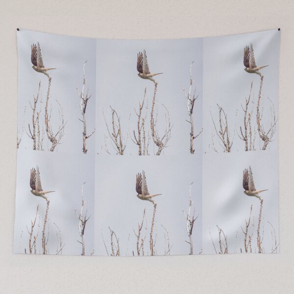 Item preview, Kestrel Leaping Off Tall Tree Branch designed and sold by CarolM.