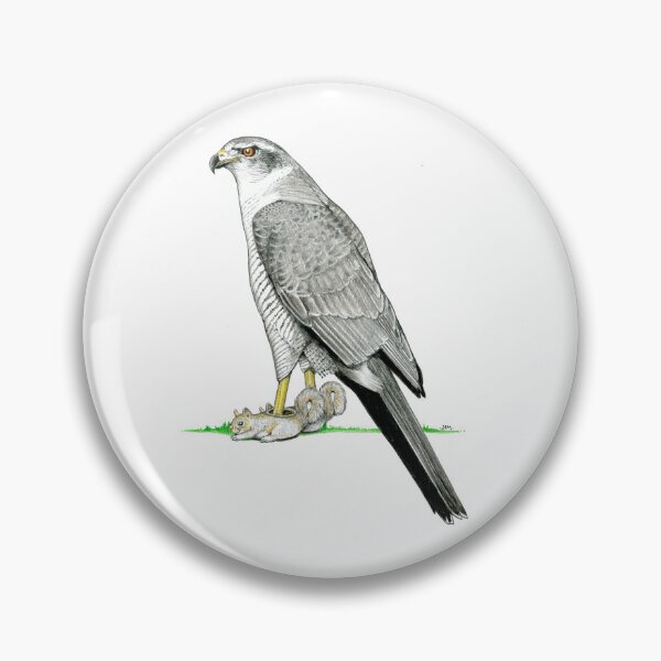 Item preview, Goshawk in Squirrel Slippers designed and sold by JimsBirds.