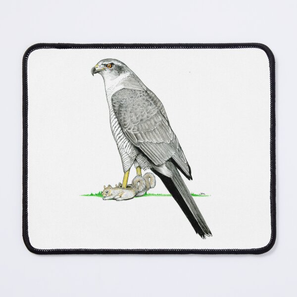 Item preview, Goshawk in Squirrel Slippers designed and sold by JimsBirds.