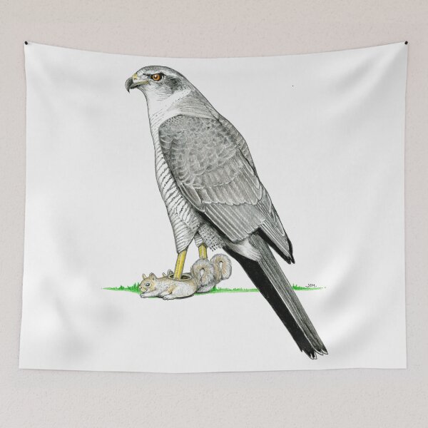 Item preview, Goshawk in Squirrel Slippers designed and sold by JimsBirds.