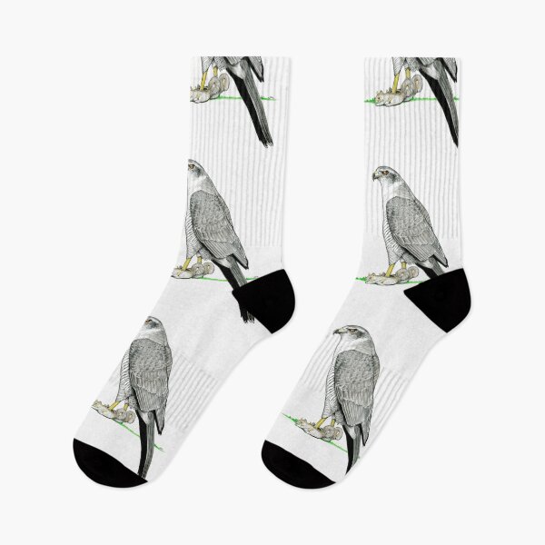 Item preview, Goshawk in Squirrel Slippers designed and sold by JimsBirds.