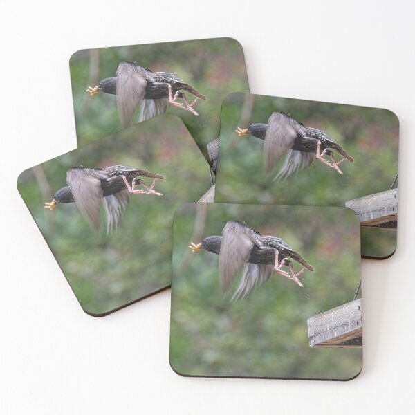 Item preview, Starling Flying Off Bird Feeder With Mealworms designed and sold by CarolM.