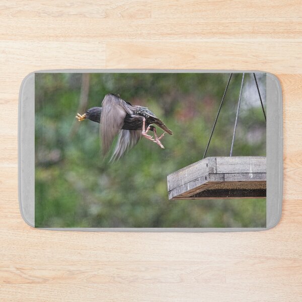 Item preview, Starling Flying Off Bird Feeder With Mealworms designed and sold by CarolM.