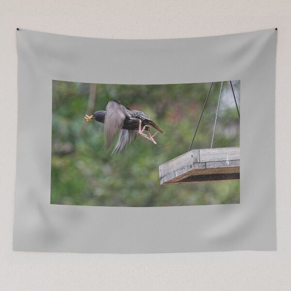 Item preview, Starling Flying Off Bird Feeder With Mealworms designed and sold by CarolM.