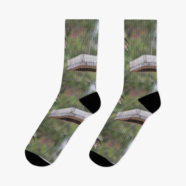 Item preview, Starling Flying Off Bird Feeder With Mealworms designed and sold by CarolM.