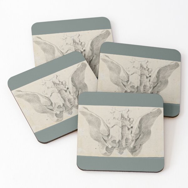 Item preview, Anatomical Drawings of the Bones of the Pelvis (dorsal view) by Jan Wandelaar  designed and sold by Amanda1775.