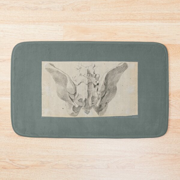 Item preview, Anatomical Drawings of the Bones of the Pelvis (dorsal view) by Jan Wandelaar  designed and sold by Amanda1775.