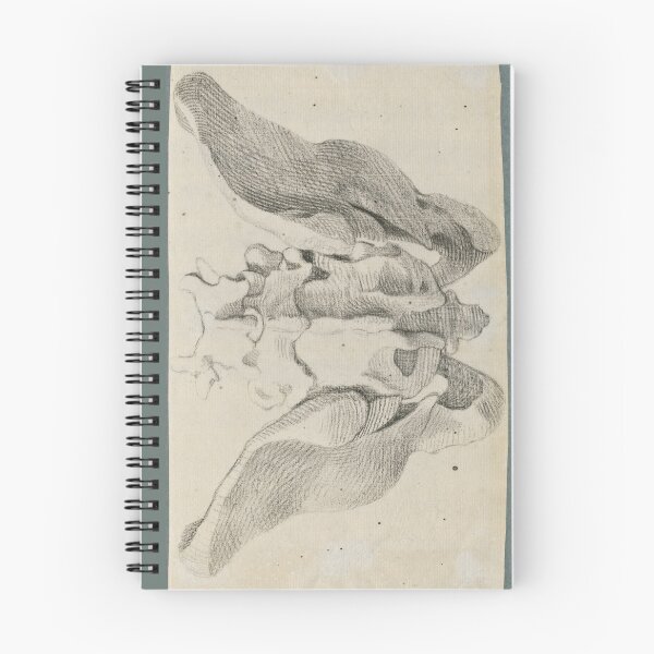 Item preview, Anatomical Drawings of the Bones of the Pelvis (dorsal view) by Jan Wandelaar  designed and sold by Amanda1775.