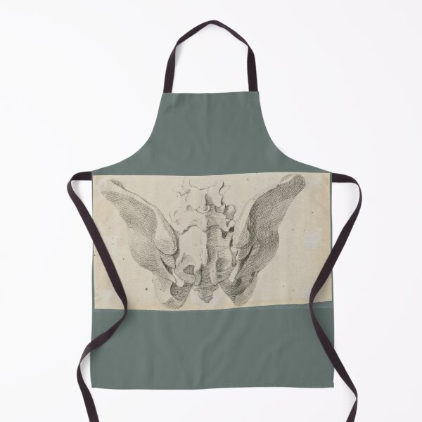 Item preview, Anatomical Drawings of the Bones of the Pelvis (dorsal view) by Jan Wandelaar designed and sold by Amanda1775.