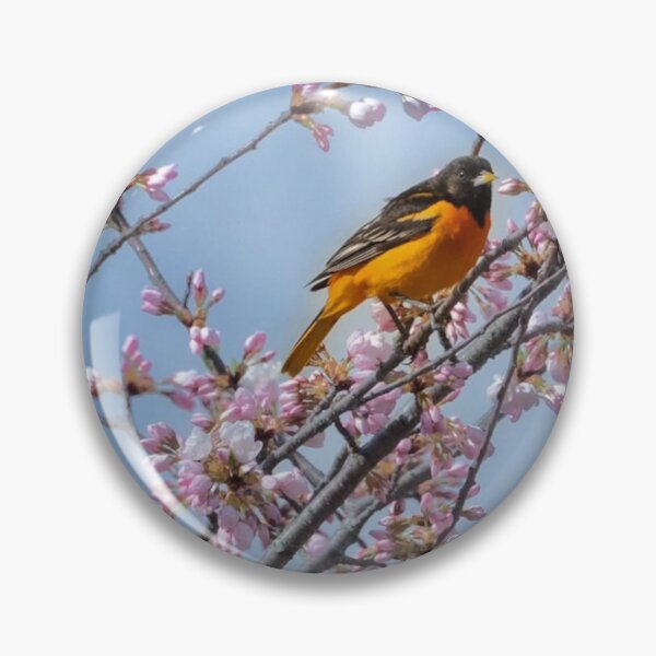 Item preview, Toronto James Cook University aUrban Horizon designed and sold by Kiftsgategarden.