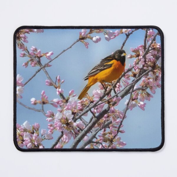 Item preview, Toronto James Cook University aUrban Horizon designed and sold by Kiftsgategarden.