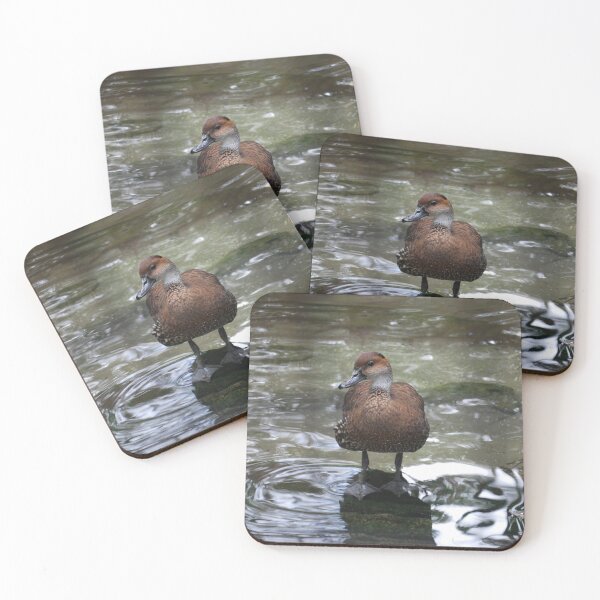 Item preview, West Indian Whistling Duck Glamour designed and sold by JustCritters.