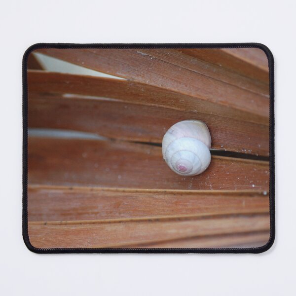 Item preview, Sea Grape Snail designed and sold by JustCritters.