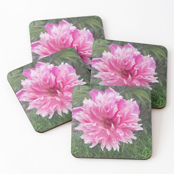 Item preview, Stopped to See designed and sold by Abeink1030.