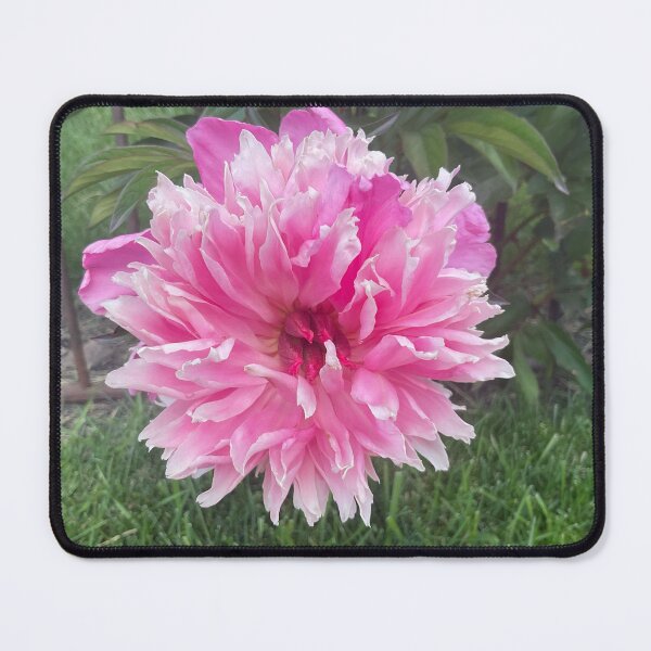 Item preview, Stopped to See designed and sold by Abeink1030.