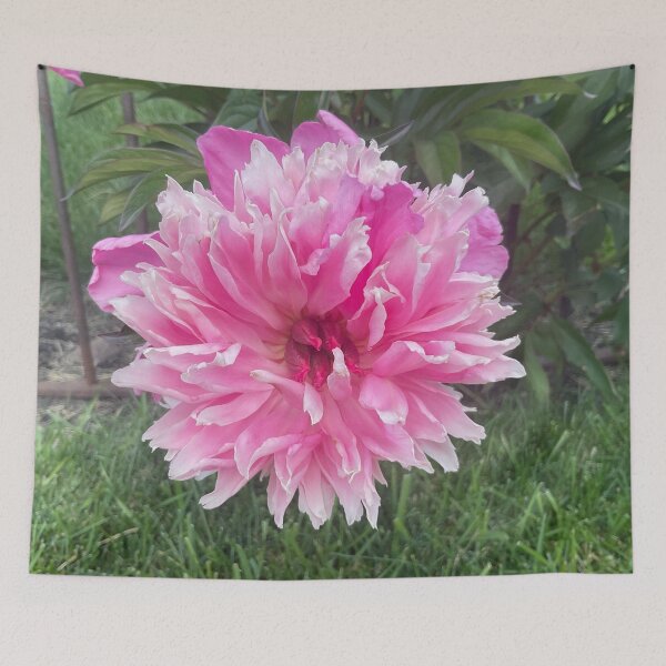Item preview, Stopped to See designed and sold by Abeink1030.