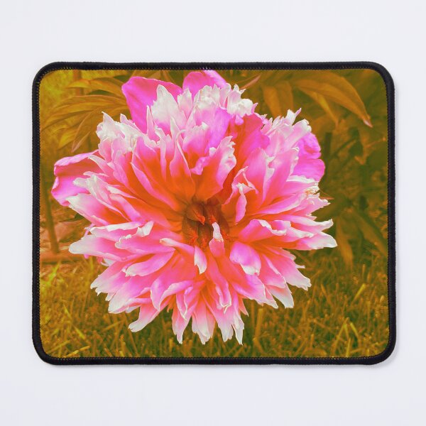 Item preview, Stopped to See 2 designed and sold by Abeink1030.