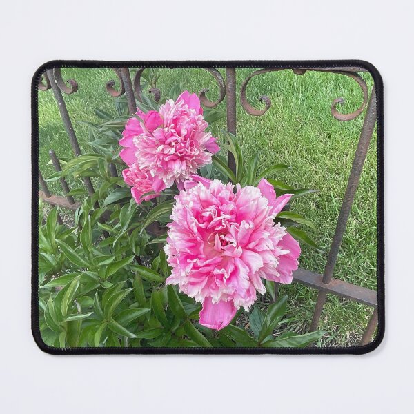 Item preview, Stopped to See 3 designed and sold by Abeink1030.