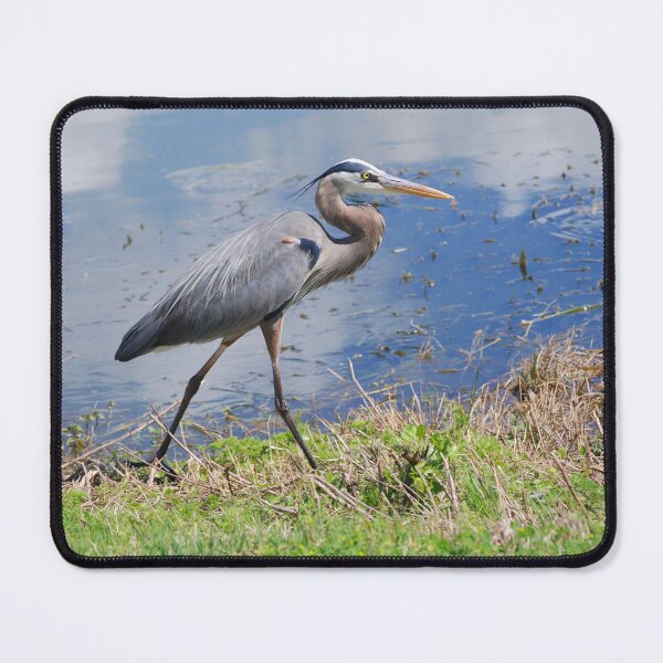 Item preview, Great Blue Heron Wading designed and sold by JustCritters.