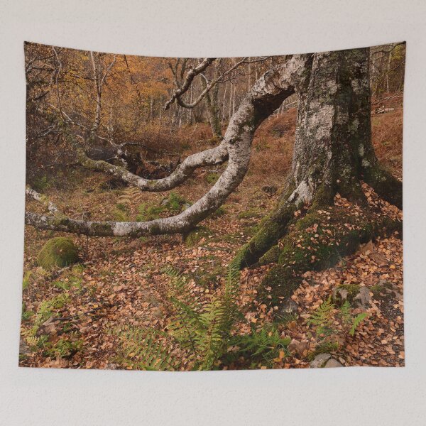 Item preview, Branches reaching down designed and sold by photosbymia.