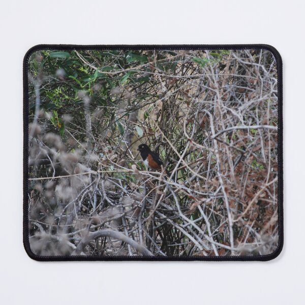 Item preview, Towhee in the Bushes designed and sold by JustCritters.