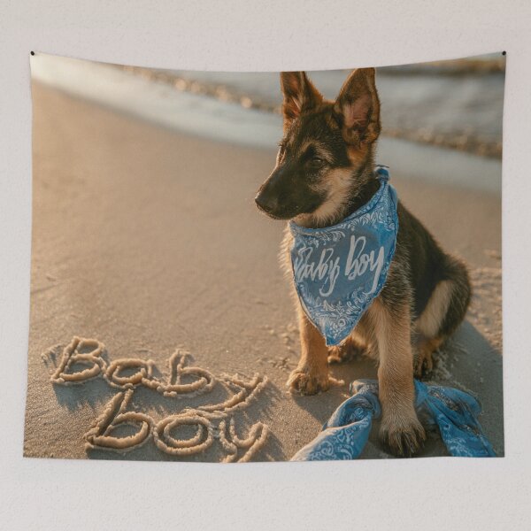 Item preview, German Shepherd Puppy Baby Boy Announcement designed and sold by chase-thewave.