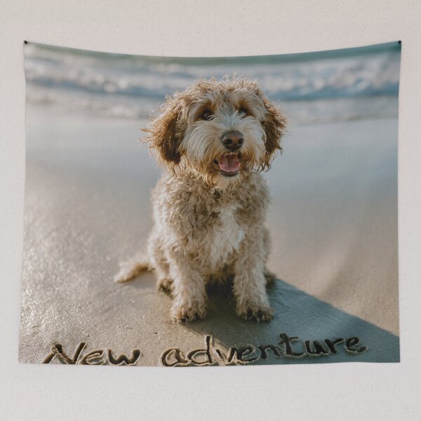 Item preview, New Adventure Curly Dog Baby Announcement designed and sold by chase-thewave.