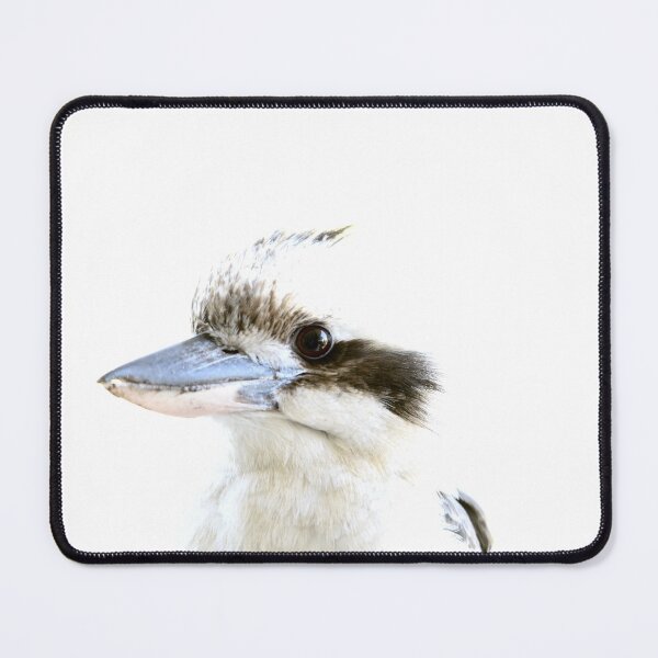 Item preview, Kookaburra exposed designed and sold by photosbymia.